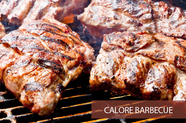 Temperatura calore cottura barbecue a legna