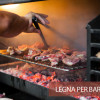 Miglior legna per barbecue